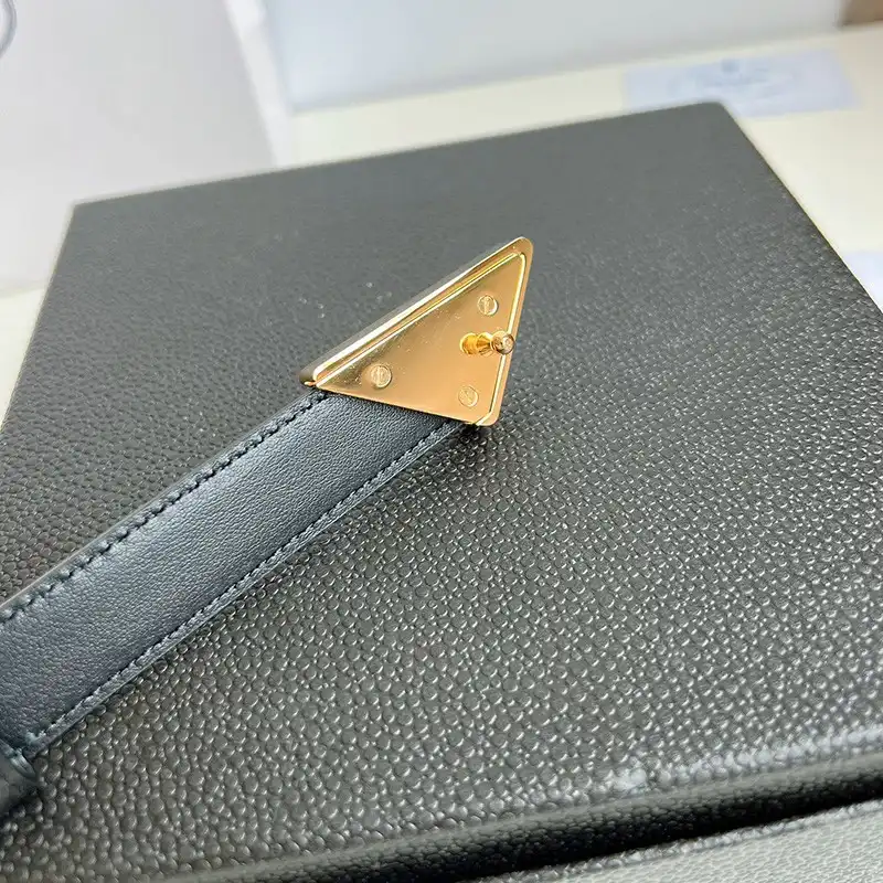 Pra*a belts 2306xf0154