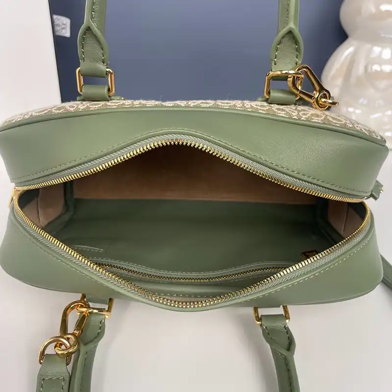 L0ew* bags 2408ya0219