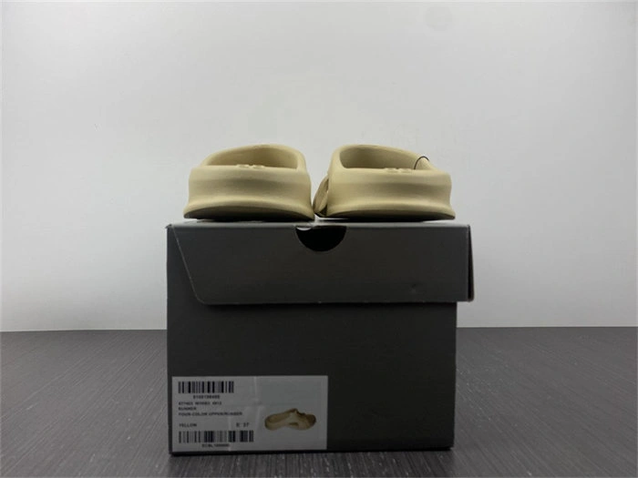 BLCG SLIPPERS DailyWear 5585