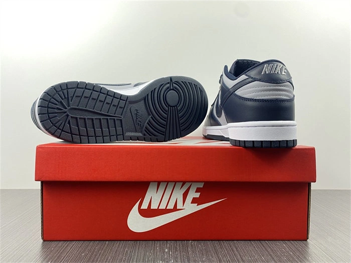 Nike Dunk Low Georgetown DD1391- WaterResistant 4825